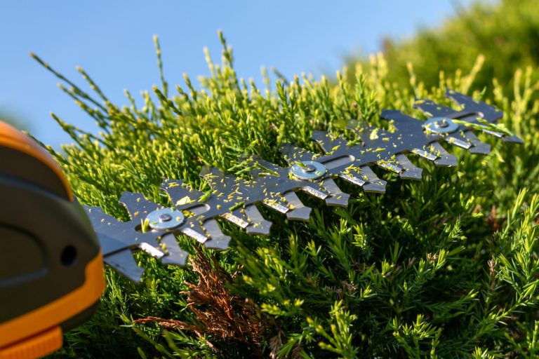 5 Best Battery Powered Trimmers in 2025