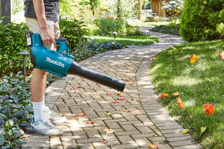 5 Best Cordless Leaf Blowers in 2025