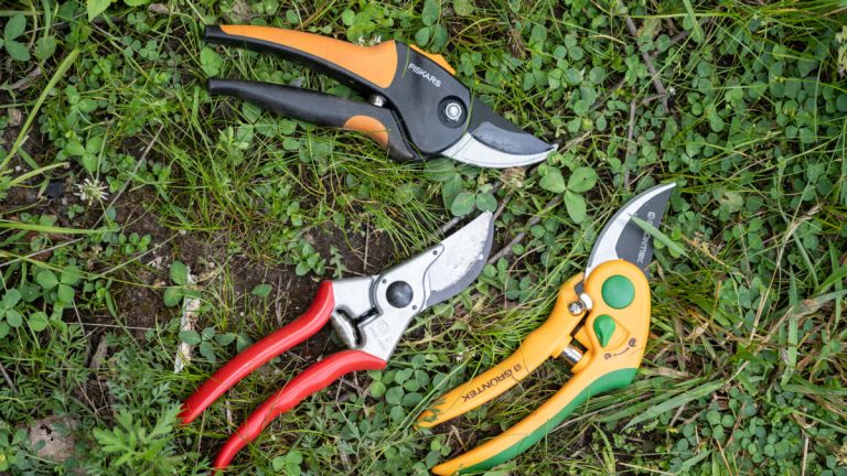 5 Best Pruning Shears in 2025